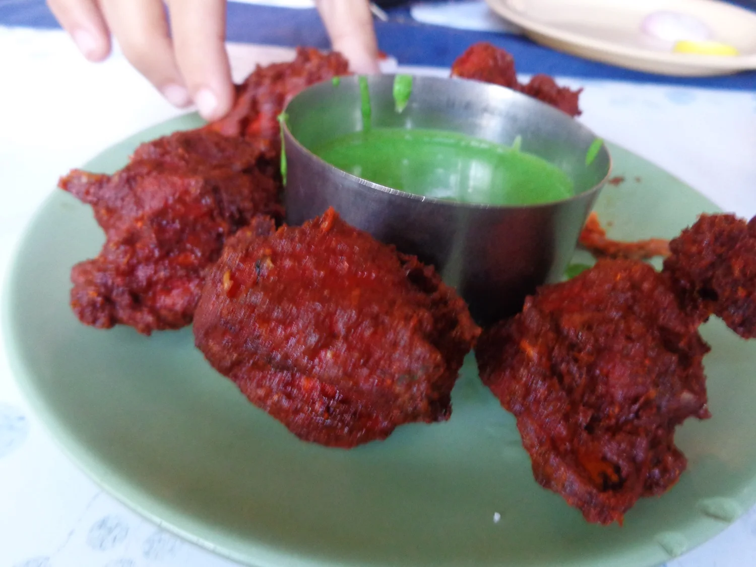 Chicken Kabab